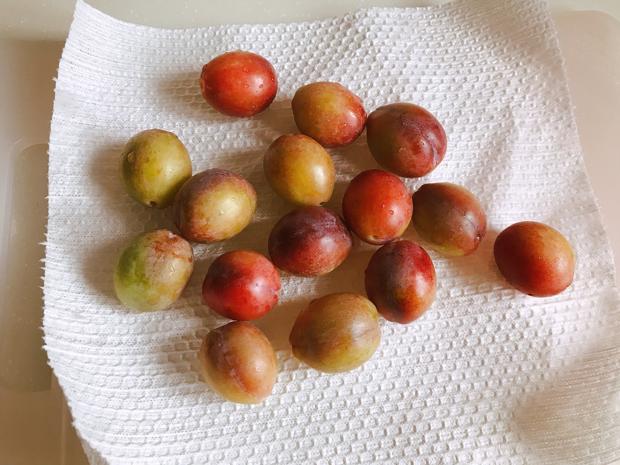 夏季清热去火：蜂蜜西梅果