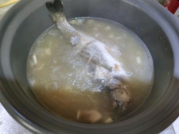 健脾养胃养生:超鲜鲈鱼汤 健脾养胃养生:超鲜鲈鱼汤