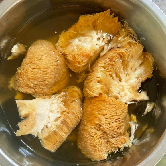 养胃健脾食谱-猴头菇山药排骨汤的做法