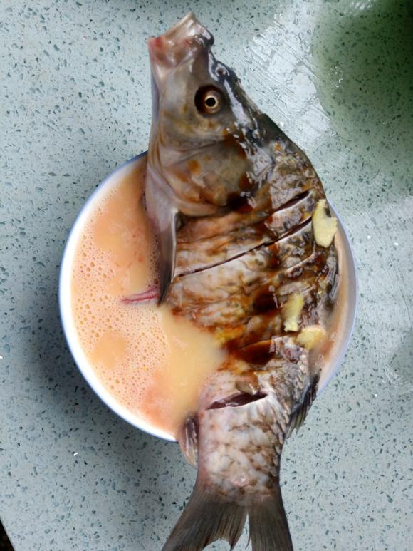 哺乳期食谱:鲫鱼蒸蛋 哺乳期食谱:鲫鱼蒸蛋