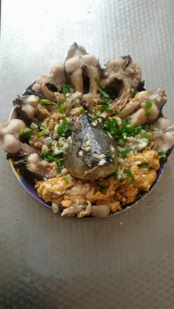 孔雀开屏鱼制作方法 孔雀开屏鱼制作方法