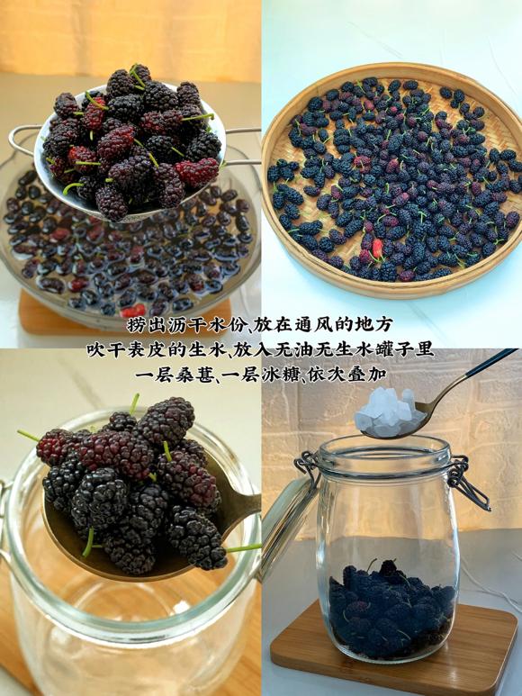 美容养颜瘦身果酒:桑葚泡果酒 美容养颜瘦身果酒:桑葚泡果酒