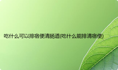 吃什么可以排宿便清肠道(吃什么能排清宿便)