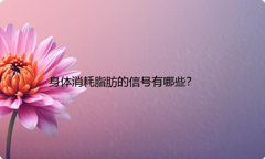 身体消耗脂肪的信号有哪些？