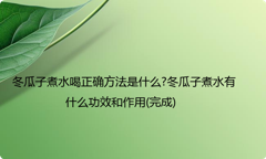 冬瓜子煮水喝正确方法是什么?冬瓜子煮水有什么功效和作用