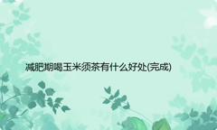 减肥期喝玉米须茶有什么好处
