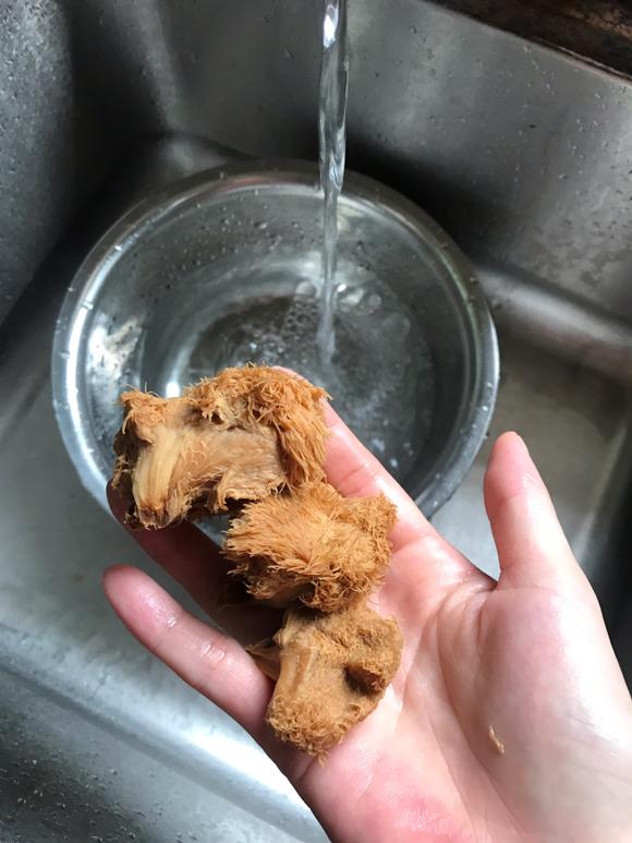 养胃安神，提高免疫力食谱：猴头菇灵芝煲猪腱