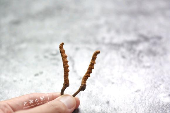 提高免疫力-冬虫草炖水鸭腿的做法