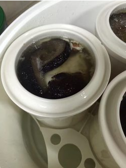 花胶海参炖排骨【季节交替提高免疫力】