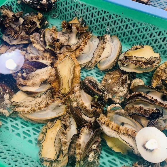 滋阴提高免疫力鲍鱼石斛羊肚菌瘦肉汤的做法