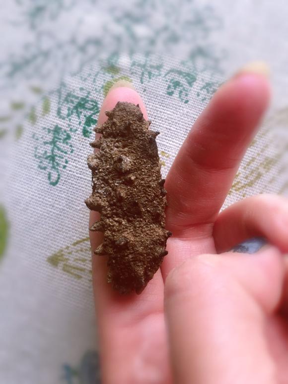 提高免疫力的海参怎么处理