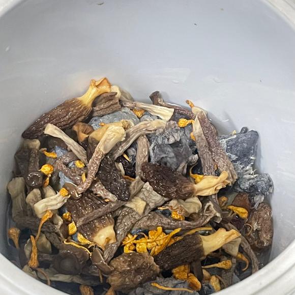 增强免疫力养生汤：羊肚菌乌鸡汤
