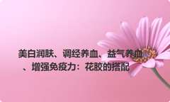 美白润肤、调经养血、益气养血、增强免疫力：花胶的搭配