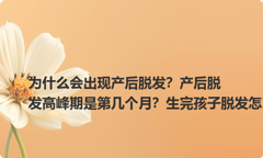 为什么会出现产后脱发？产后脱发高峰期是第几个月？生完孩子脱发怎么调理？