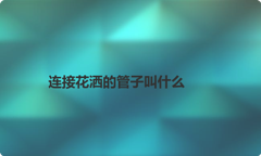 连接花洒的管子叫什么