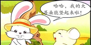 绘本：大耳兔和小胖鼠：有洞洞的草帽