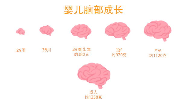 DHA孕妇需要吃吗？