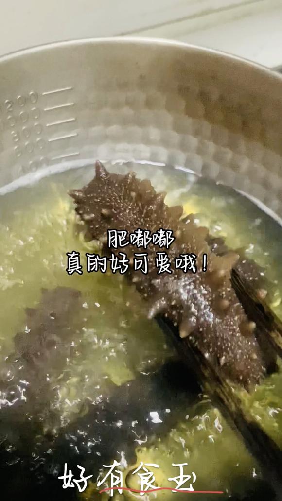 海参泡发，给孩子增强免疫力