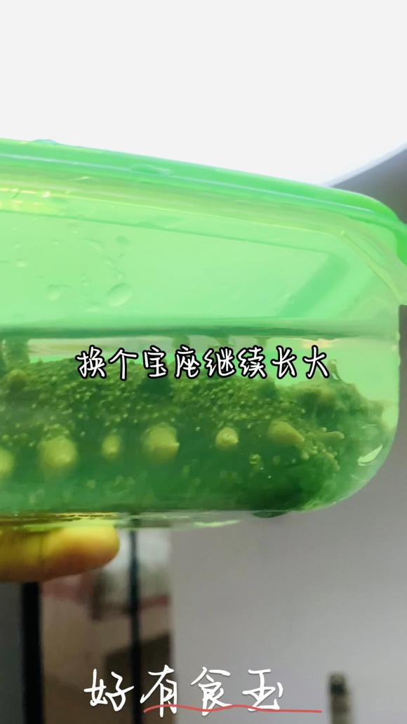 海参泡发，给孩子增强免疫力