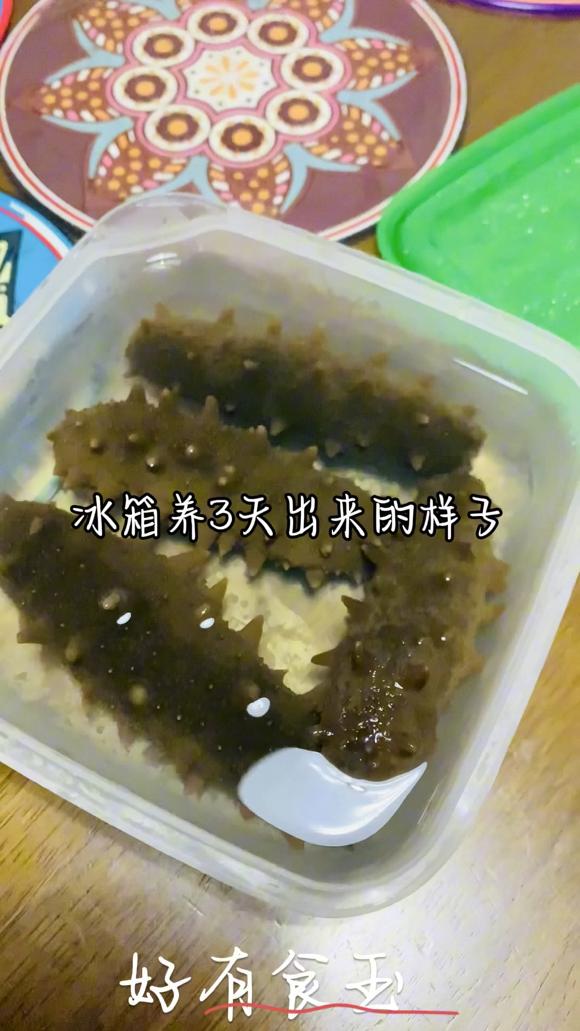 海参泡发，给孩子增强免疫力