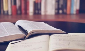 小学生怎样做到有效阅读