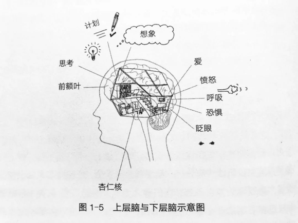 孩子情绪失控发脾气怎么回事