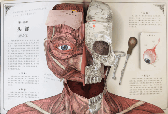 荐书|入学后抽空看，学龄前一定要看的这类书：提早接触小四门（物理、化学