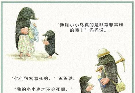 绘本：鼹鼠和小鸟（鼹鼠和鸟宝宝）