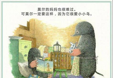 绘本：鼹鼠和小鸟（鼹鼠和鸟宝宝）