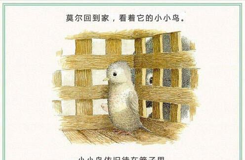 绘本：鼹鼠和小鸟（鼹鼠和鸟宝宝）