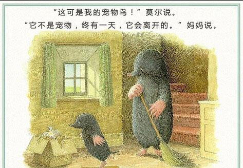 绘本：鼹鼠和小鸟（鼹鼠和鸟宝宝）