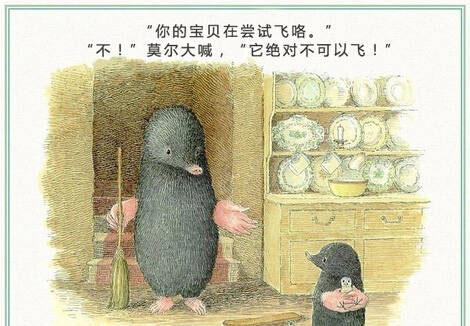 绘本：鼹鼠和小鸟（鼹鼠和鸟宝宝）