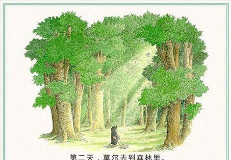 绘本：鼹鼠和小鸟（鼹鼠和鸟宝宝）