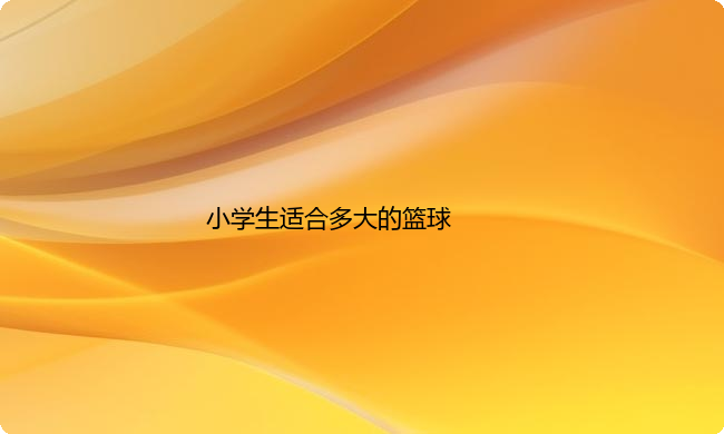 小学生学篮球适合多大的篮球,篮球大小介绍