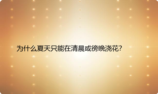 为什么夏天只能在清晨或徬晩浇花？