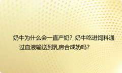 奶牛为什么会一直产奶？奶牛吃进饲料通过血液输送到乳房合成奶吗？