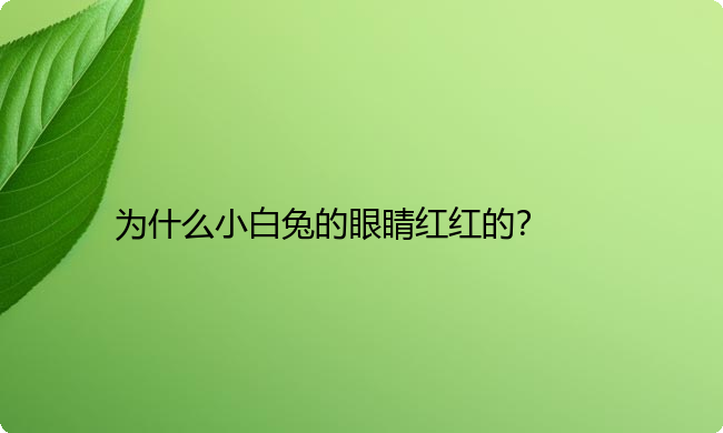 为什么小白兔的眼睛红红的？