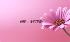 小学必懂的经典成语故事及应用：按兵不动