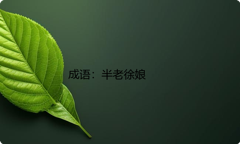 小学必懂的经典成语故事及应用：半老徐娘