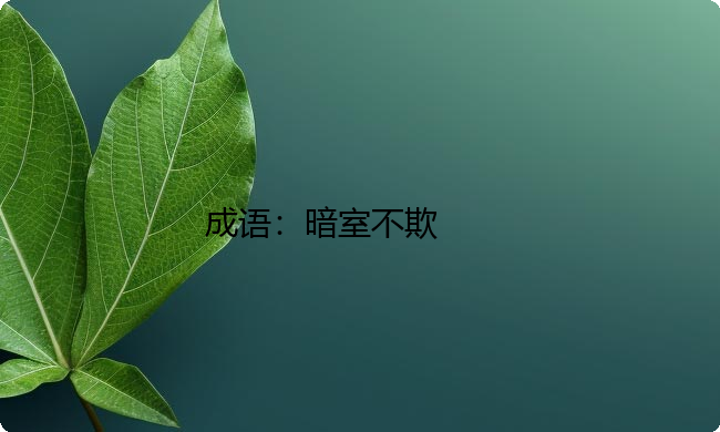 小学必懂的经典成语故事及应用：暗室不欺