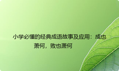 小学必懂的经典成语故事及应用：成也萧何，败也萧何