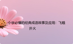 小学必懂的经典成语故事及应用：飞蛾扑火
