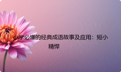 小学必懂的经典成语故事及应用：短小精悍