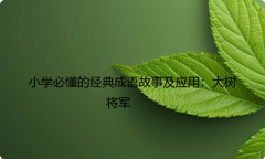 小学必懂的经典成语故事及应用：大树将军