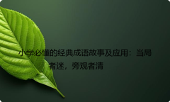 小学必懂的经典成语故事及应用：当局者迷，旁观者清