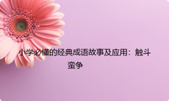 小学必懂的经典成语故事及应用：触斗蛮争