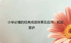 小学必懂的经典成语故事及应用：初出茅庐