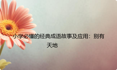 小学必懂的经典成语故事及应用：别有天地