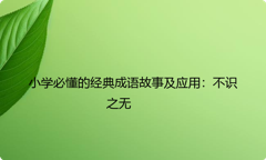 小学必懂的经典成语故事及应用：不识之无