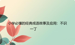 小学必懂的经典成语故事及应用：不识一丁